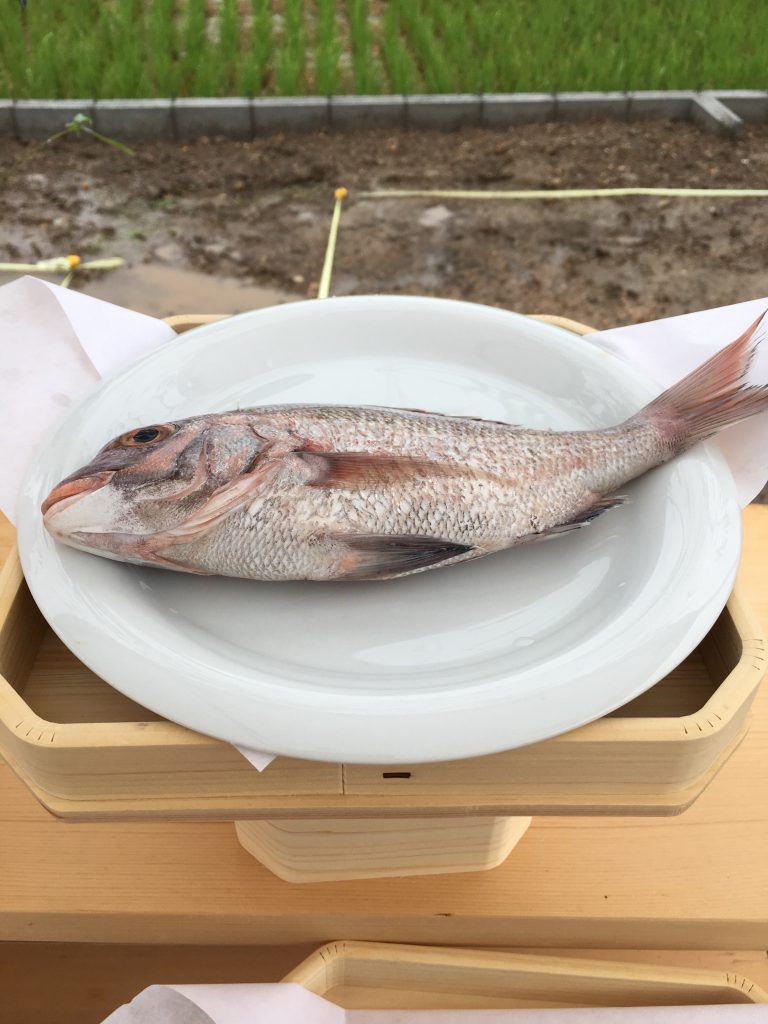 地鎮祭お供え：魚