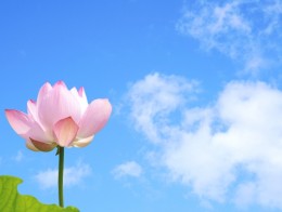 夏季休業のお知らせ