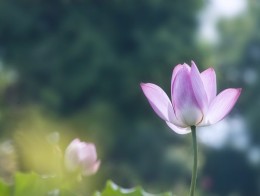 夏季休業のお知らせ