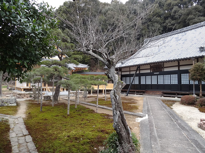 新築／寺社建築／観音堂