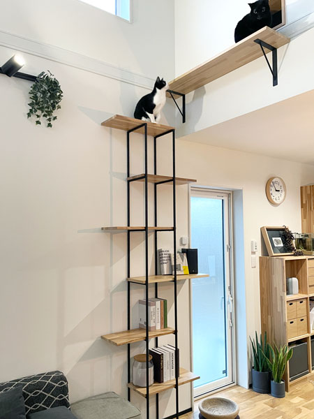 楽楽楽の家　猫との暮らし　キャットタワー